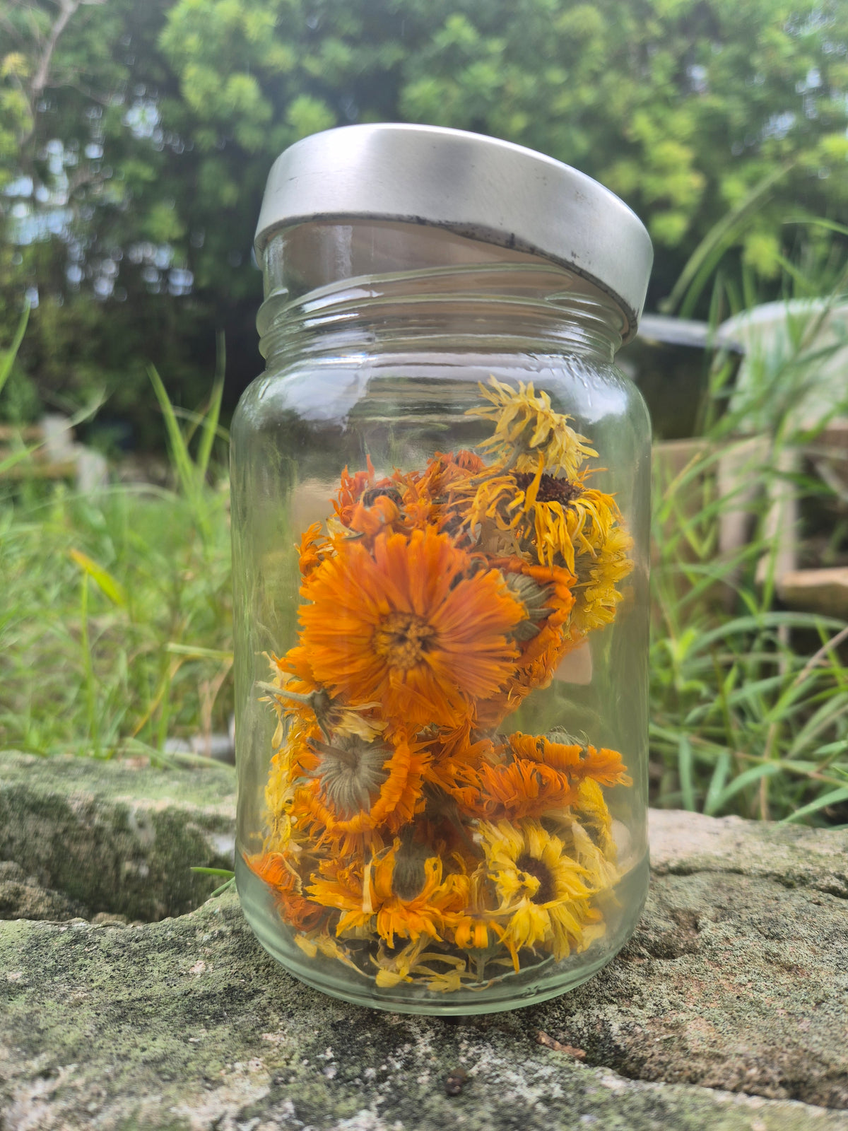 Calendula and Rose Body Scrub