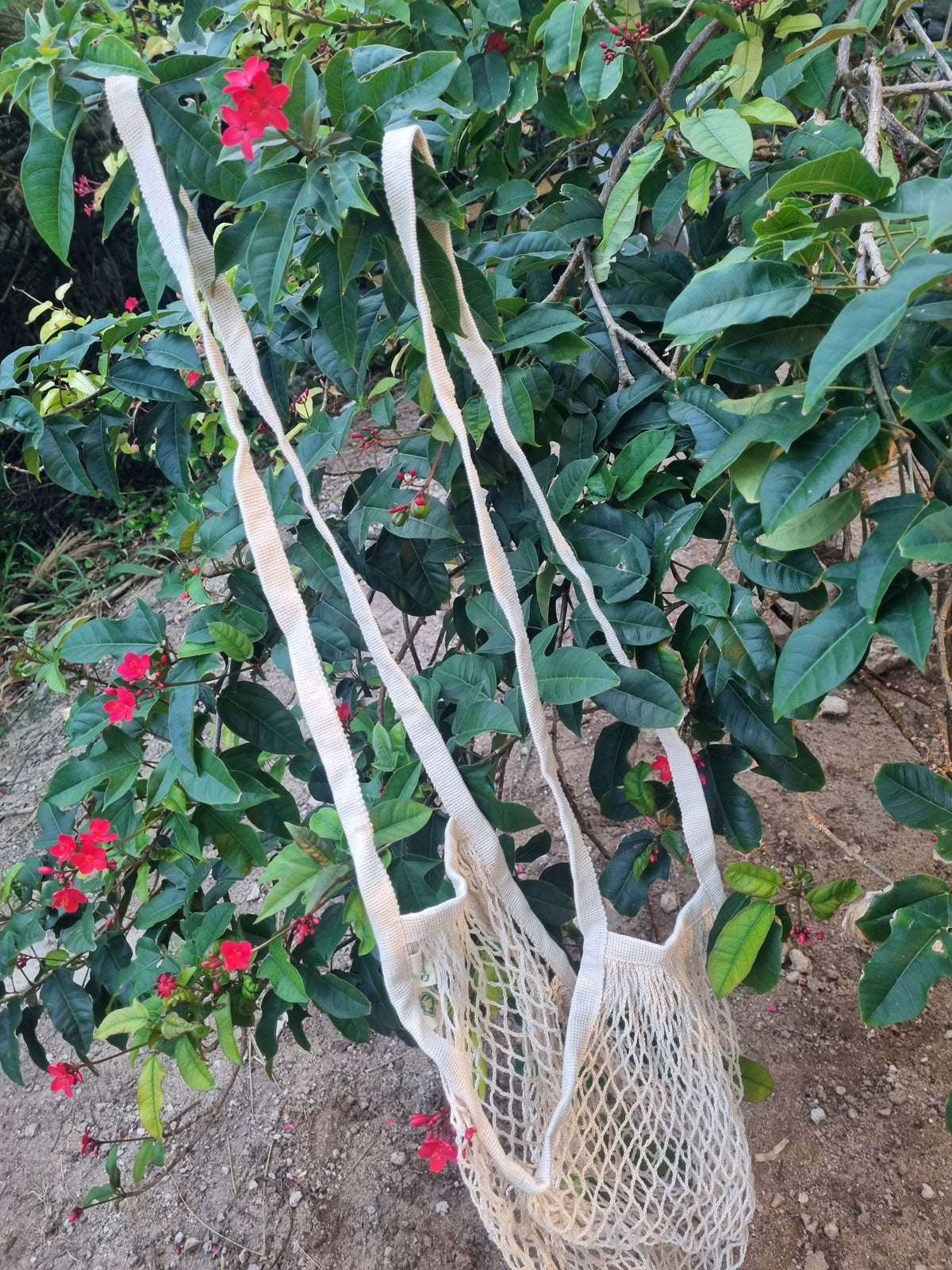 Mesh Shopping Bag- Extra Long Handles