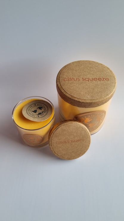 16oz Soy Wax Candles